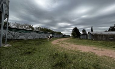 Vendo Campo 76 Hectáreas en Caseros, Entre Ríos.
