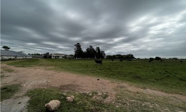 Vendo Campo 76 Hectáreas en Caseros, Entre Ríos.