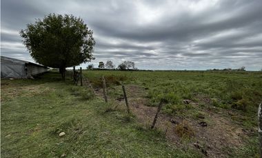 Vendo Campo 76 Hectáreas en Caseros, Entre Ríos.