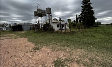 Vendo Campo 76 Hectáreas en Caseros, Entre Ríos.