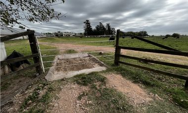 Vendo Campo 76 Hectáreas en Caseros, Entre Ríos.