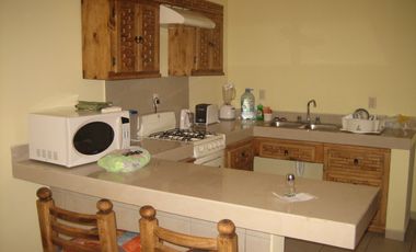 Departamento Ejecutivo Amueblado Servios Incluidos 2 Habitaciones 2 Baños