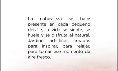 TERRENOS EN VENTA LA RÚA TORREÓN