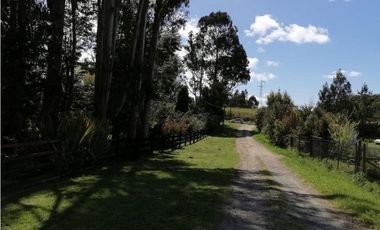 Parcela con Vista al volcán Osorno