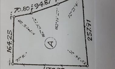 5 Has sobre Autopista Rosario Bs As