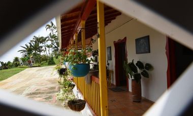 FINCA DE 7 CUADRAS EN BUENA VISTA 4908