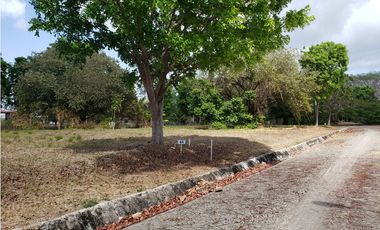 Terreno en Venta, P.H. La Colonia, Vía Punta Chame
