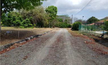 Terreno en Venta, P.H. La Colonia, Vía Punta Chame