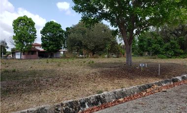 Terreno en Venta, P.H. La Colonia, Vía Punta Chame