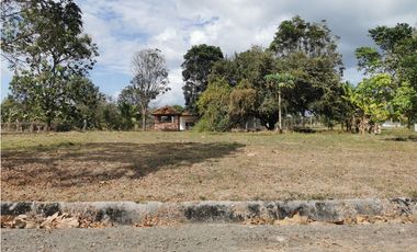 Terreno en Venta, P.H. La Colonia, Vía Punta Chame