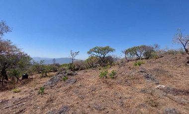 Vendo Lotes de 1000 m2 en zona tranquila de Tepoztlán