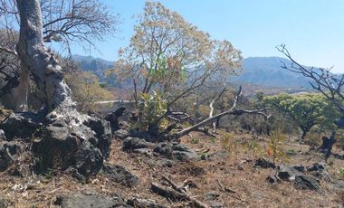 Vendo Lotes de 1000 m2 en zona tranquila de Tepoztlán