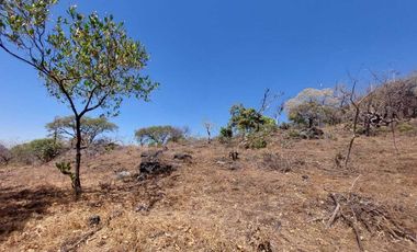 Vendo Lotes de 1000 m2 en zona tranquila de Tepoztlán
