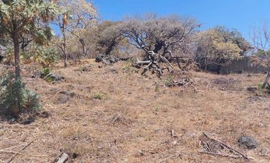 Vendo Lotes de 1000 m2 en zona tranquila de Tepoztlán