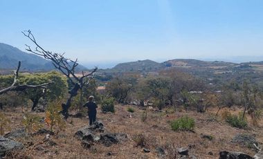 Vendo Lotes de 1000 m2 en zona tranquila de Tepoztlán