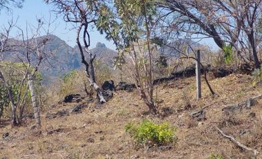 Vendo Lotes de 1000 m2 en zona tranquila de Tepoztlán
