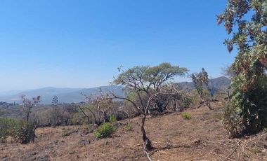 Vendo Lotes de 1000 m2 en zona tranquila de Tepoztlán