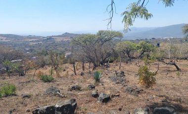 Vendo Lotes de 1000 m2 en zona tranquila de Tepoztlán