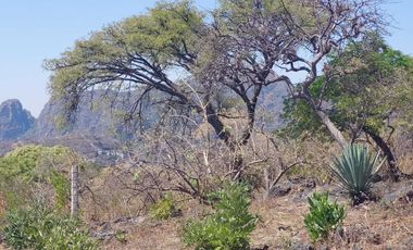 Vendo Lotes de 1000 m2 en zona tranquila de Tepoztlán