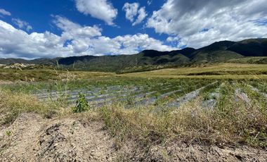 Terreno de Venta en Catamayo-Gonzanamá, Catamayo, Ecuador