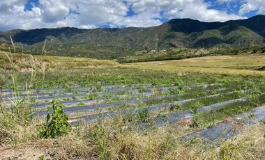 Terreno de Venta en Catamayo-Gonzanamá, Catamayo, Ecuador