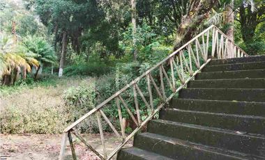 Locales comerciales campestres en plaza Briones-Pitaya, Coatepec