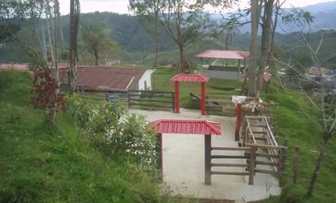 FINCA EN VENTA EN PADUA/TOLIMA