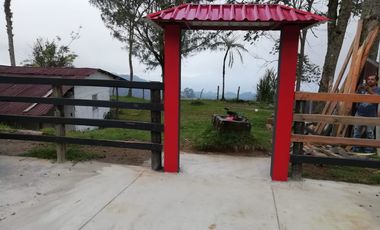 FINCA EN VENTA EN PADUA/TOLIMA