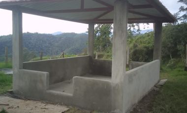 FINCA EN VENTA EN PADUA/TOLIMA
