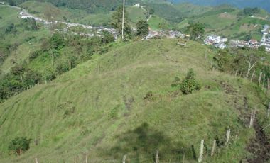 FINCA EN VENTA EN PADUA/TOLIMA
