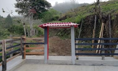 FINCA EN VENTA EN PADUA/TOLIMA