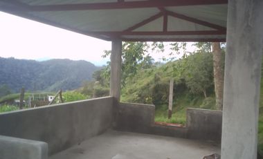 FINCA EN VENTA EN PADUA/TOLIMA