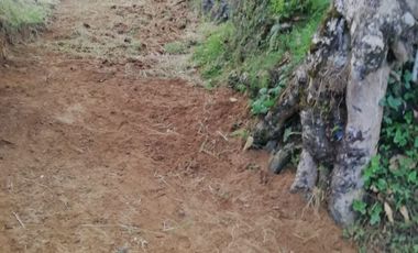 FINCA EN VENTA EN PADUA/TOLIMA