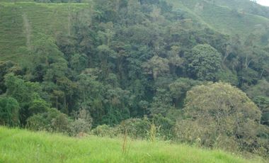 FINCA EN VENTA EN PADUA/TOLIMA
