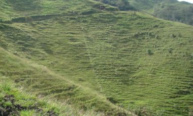 FINCA EN VENTA EN PADUA/TOLIMA