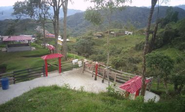 FINCA EN VENTA EN PADUA/TOLIMA