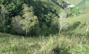 FINCA EN VENTA EN PADUA/TOLIMA