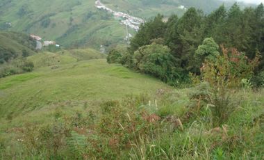 FINCA EN VENTA EN PADUA/TOLIMA