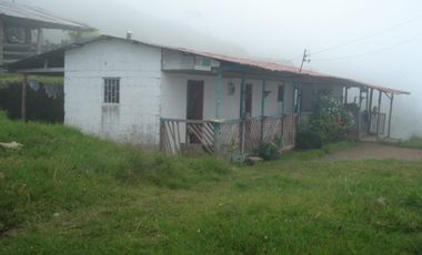 FINCA EN VENTA EN PADUA/TOLIMA