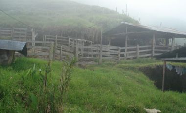 FINCA EN VENTA EN PADUA/TOLIMA