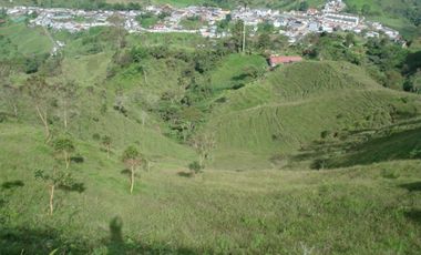 FINCA EN VENTA EN PADUA/TOLIMA