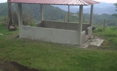 FINCA EN VENTA EN PADUA/TOLIMA