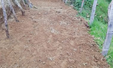 FINCA EN VENTA EN PADUA/TOLIMA