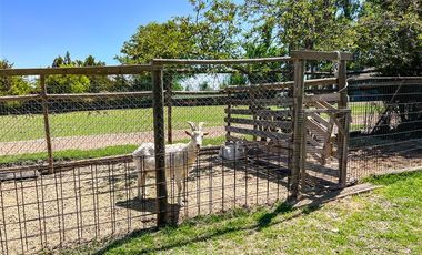 Sitio en Venta en Pirque, Sector El Cruceral