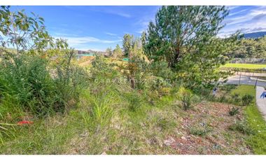 Lote en Parcelación Loma del Escobero