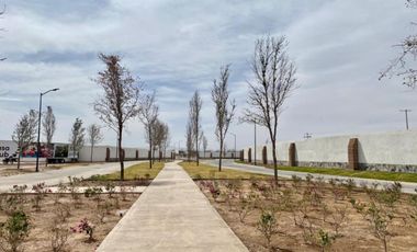 TERRENO EN VENTA EN LA BARRANCA TORREON COAHUILA