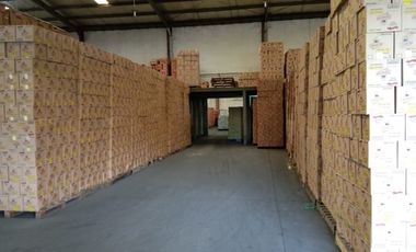 Gudang Disewa ada 2 unit Jababeka Jl Industri Selatan, Luas 1380m2 & 2688m2