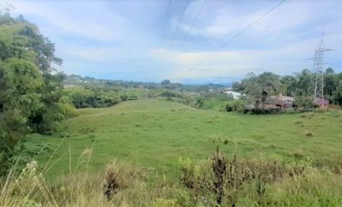 lote en arriendo en via armenia. Cod A18502