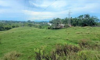 lote en arriendo en via armenia. Cod A18502