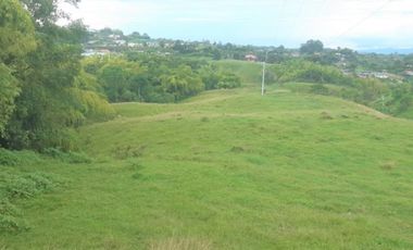 lote en arriendo en via armenia. Cod A18502